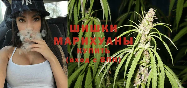 сатива Нефтегорск