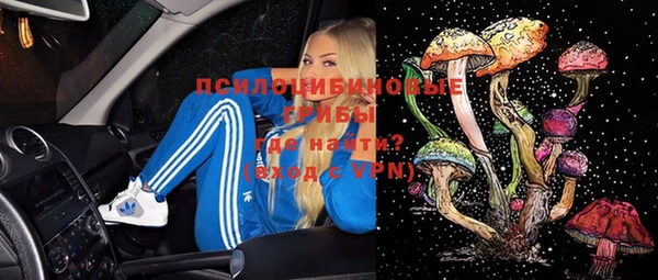 сатива Нефтегорск