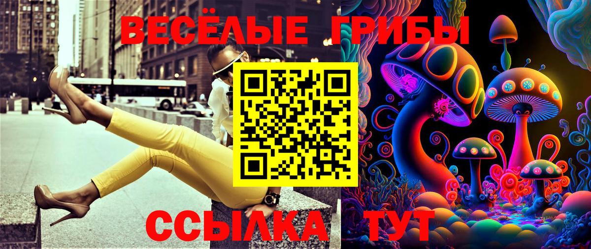 Галлюциногенные грибы GOLDEN TEACHER Ржев