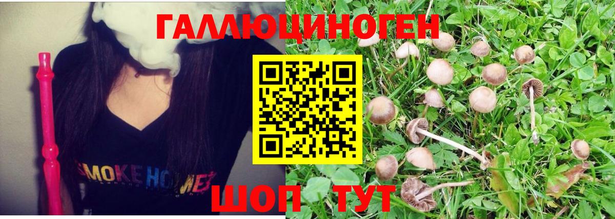 Галлюциногенные грибы Magic Shrooms  Ржев 